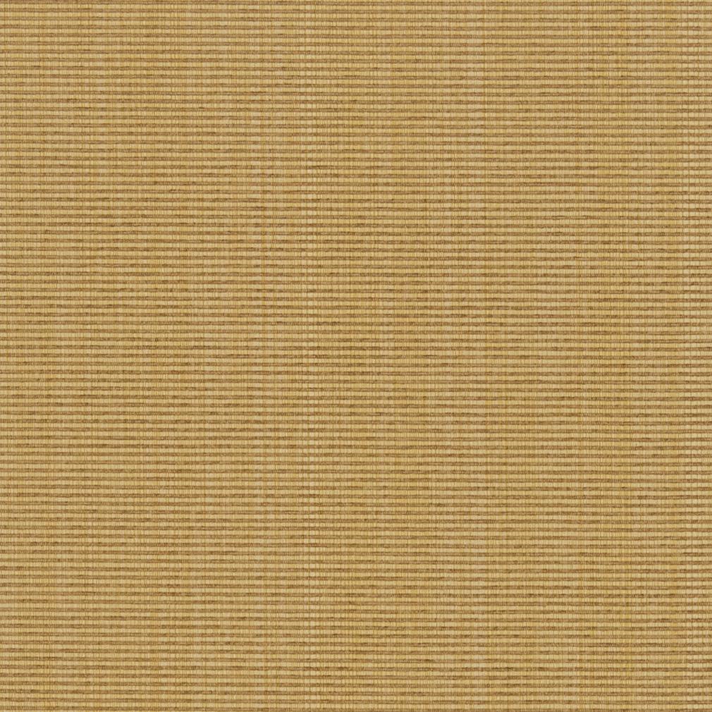 Bombay Wheat