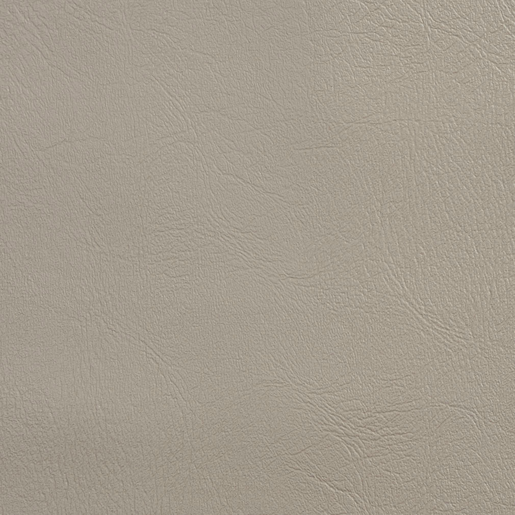 Canton Dove