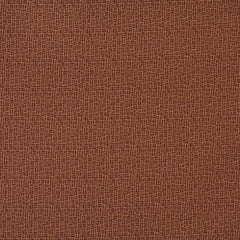 Carly Cognac