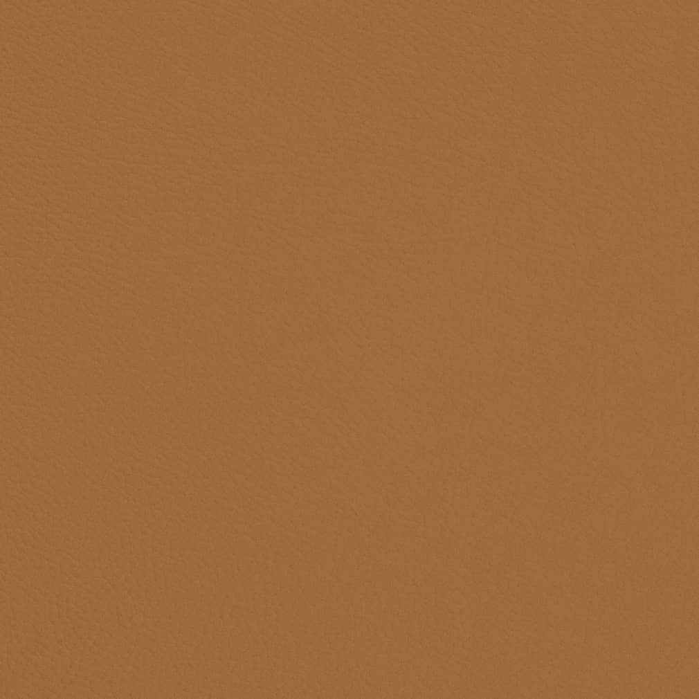 Carmen Butterscotch