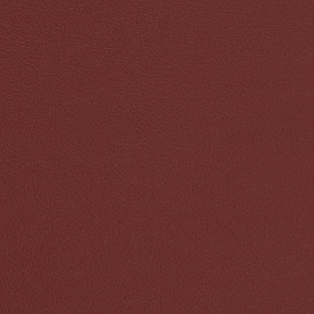 Carmen Currant