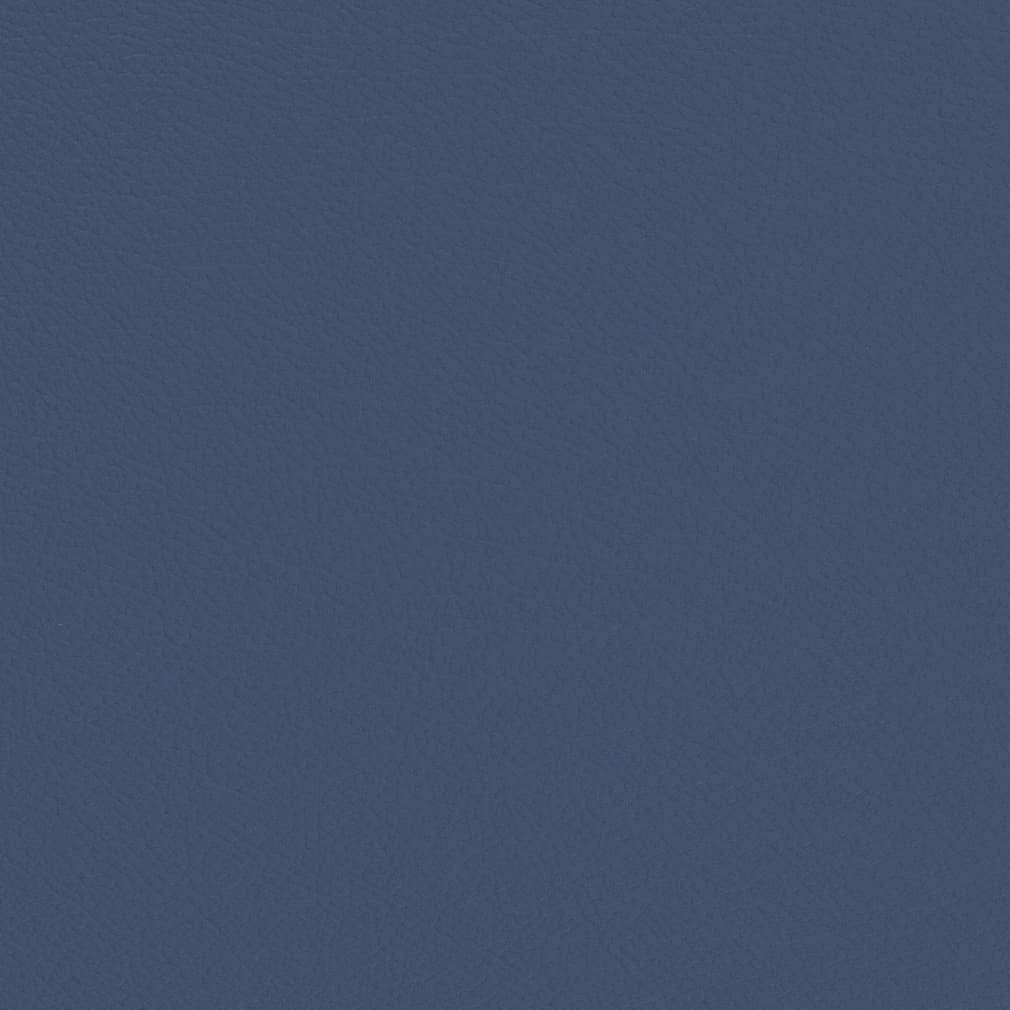 Carmen Denim
