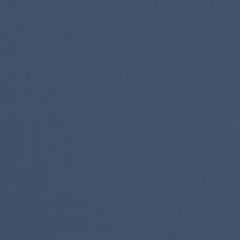 Carmen Denim