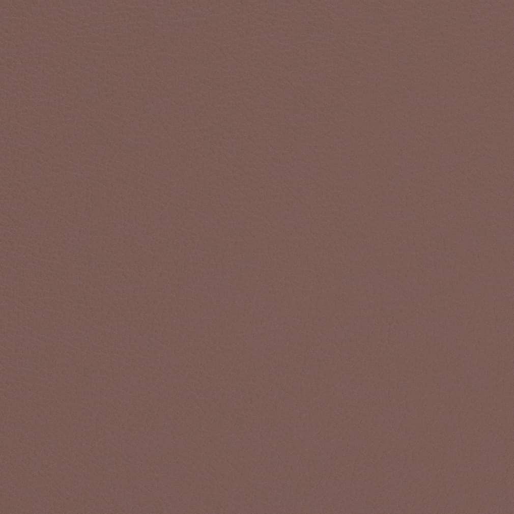 Carmen Lilac
