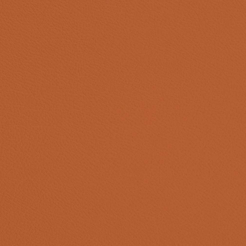 Carmen Marmalade