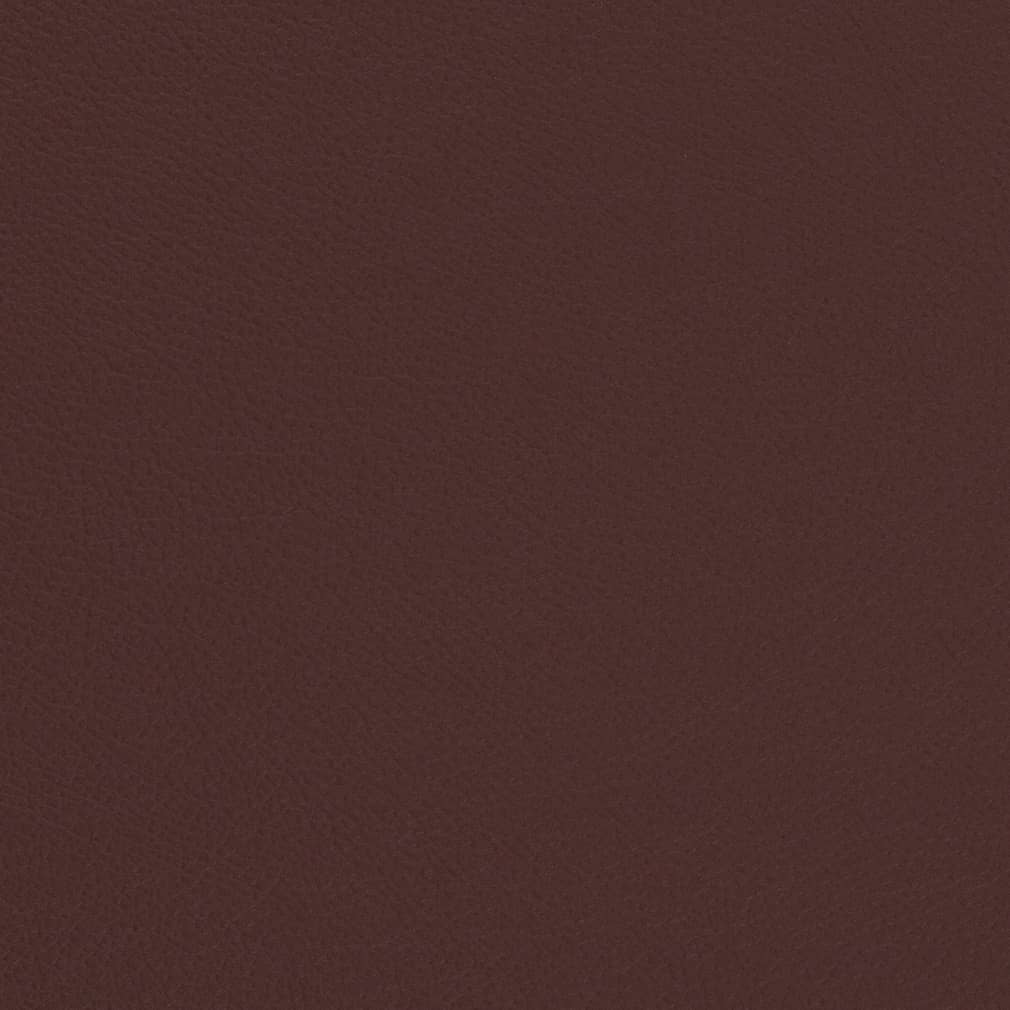 Carmen Merlot