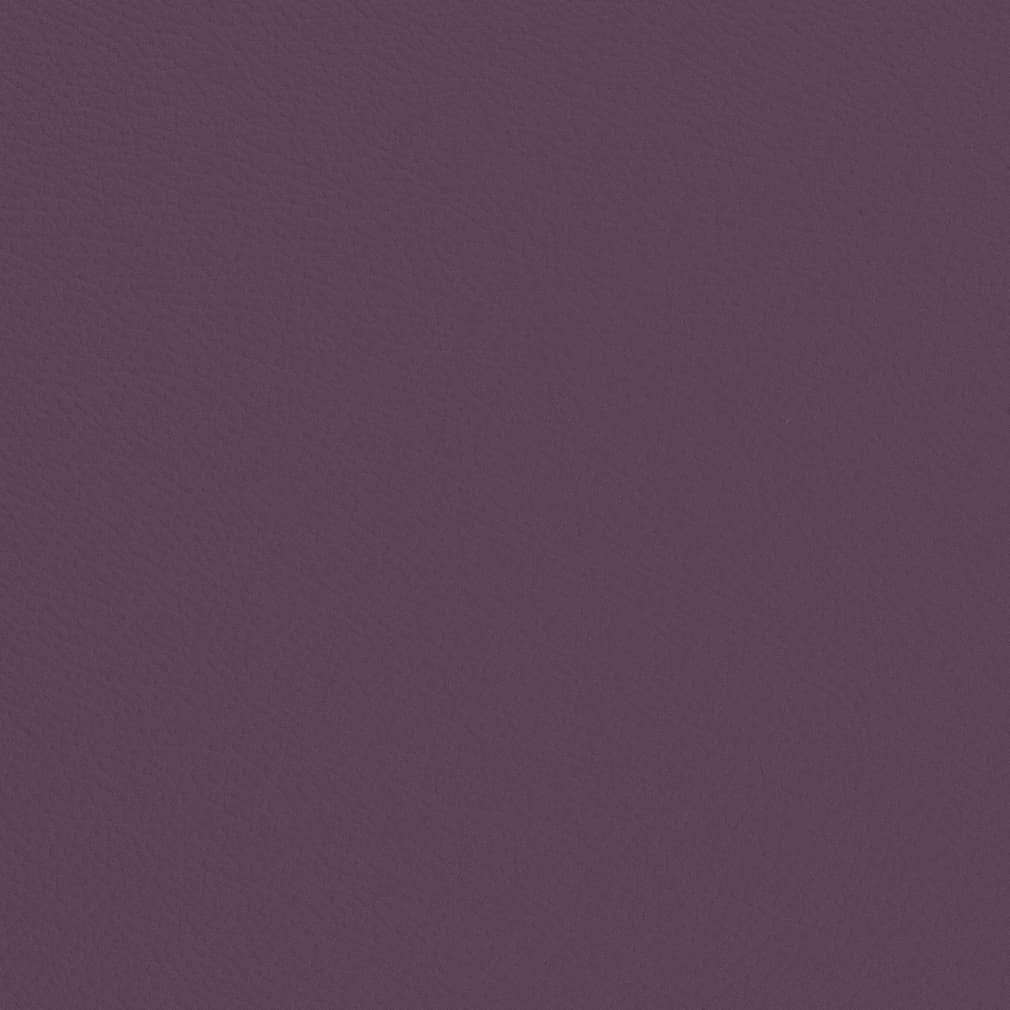 Carmen Plum
