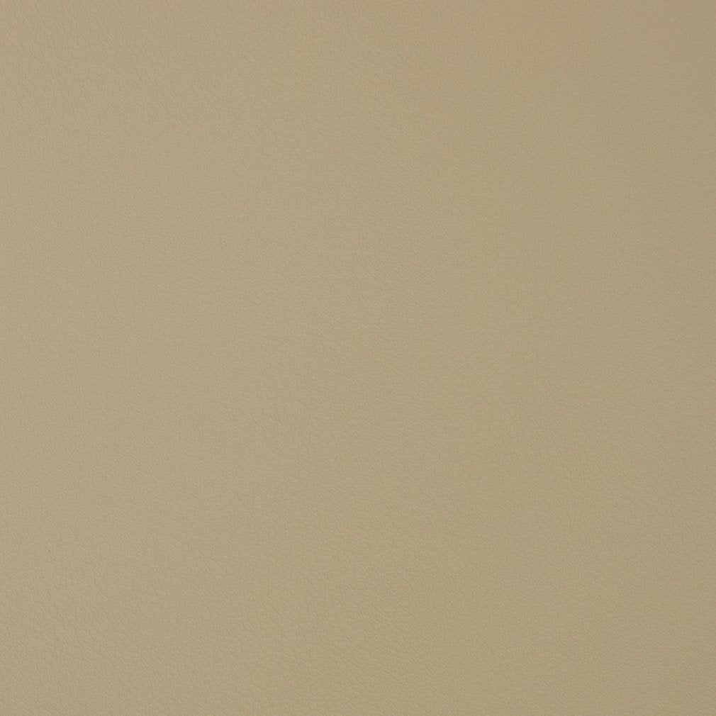 Caspian Bisque