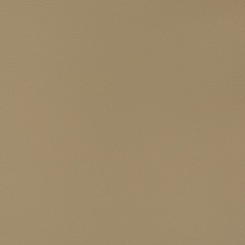 Caspian Cappuccino