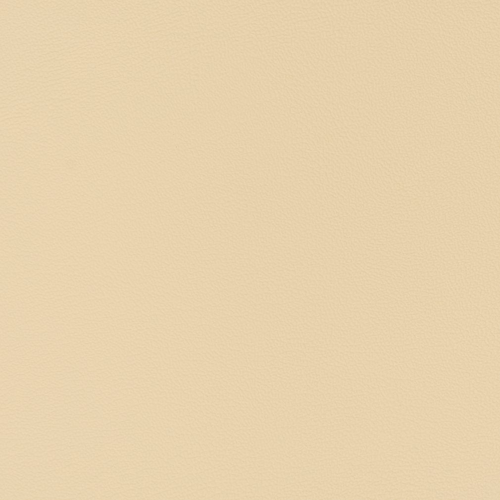 Caspian Cream