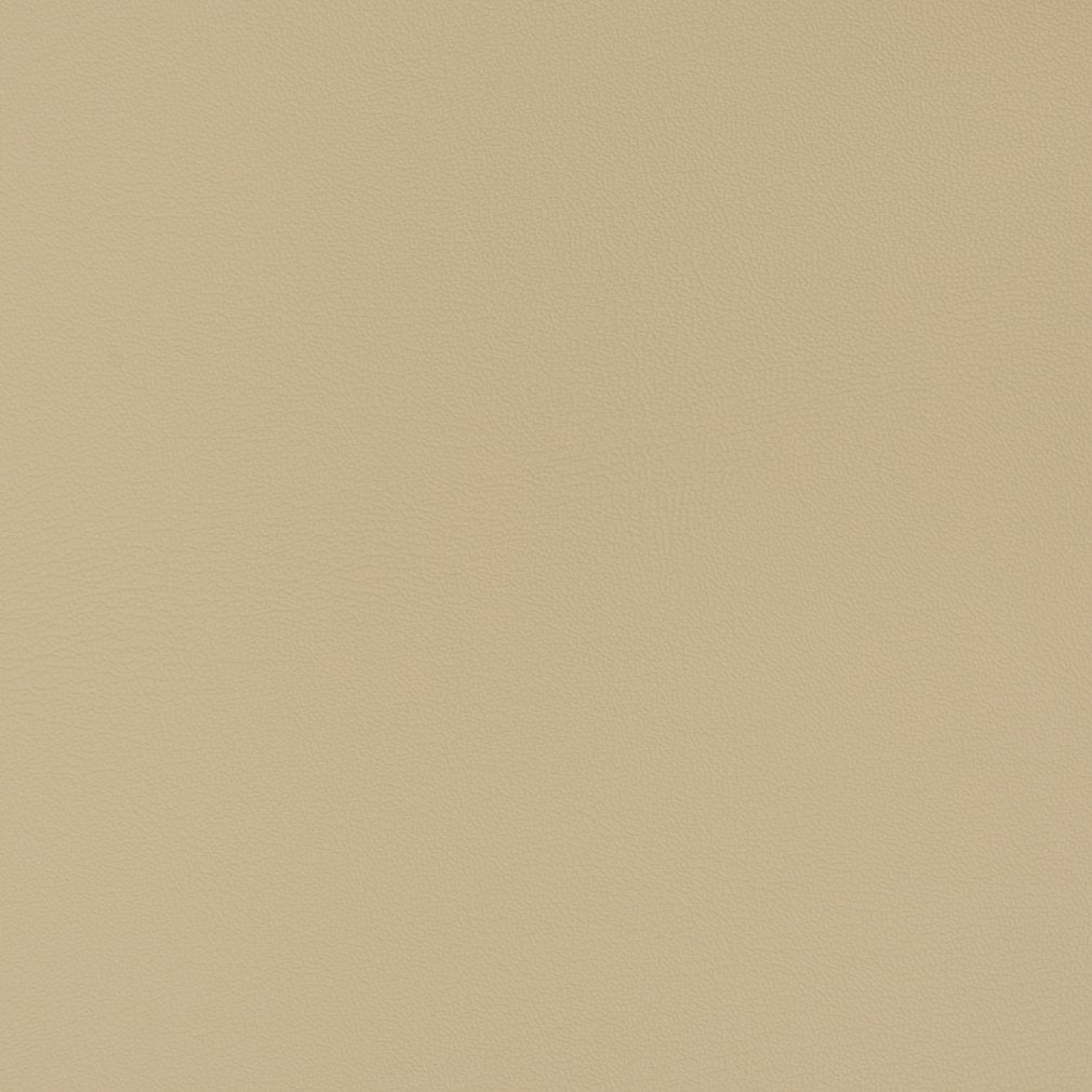 Caspian Neutral