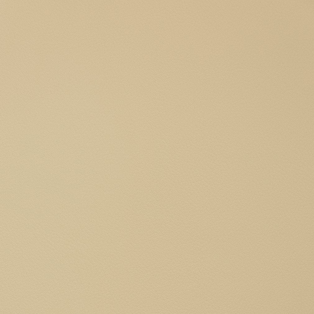 Caspian Parchment