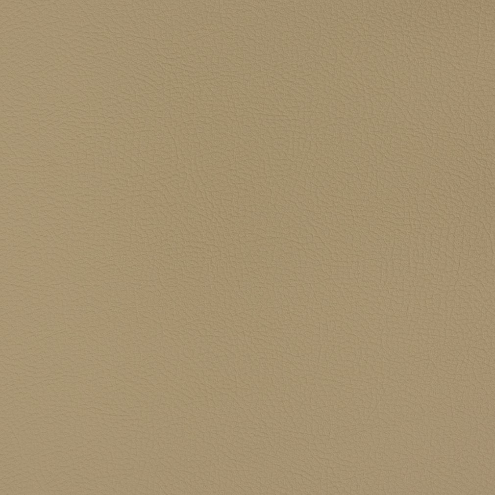 Caspian Sandalwood