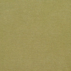 Catherine Spring