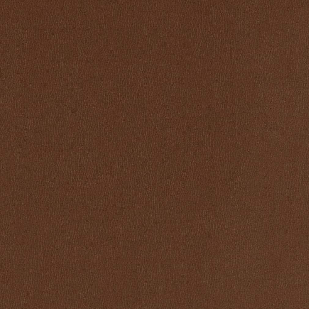 Clara Chocolate