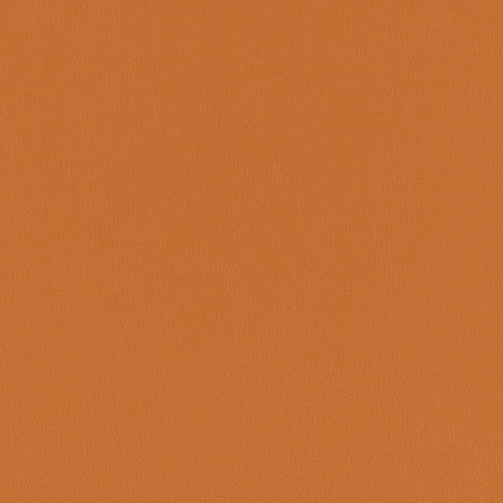 Clara Marmalade