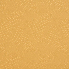 Cooper Gold