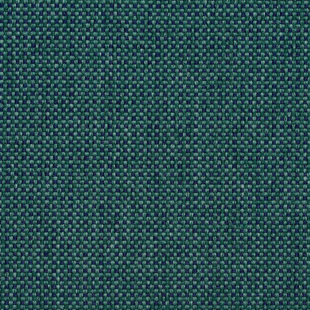 Avalon Evergreen