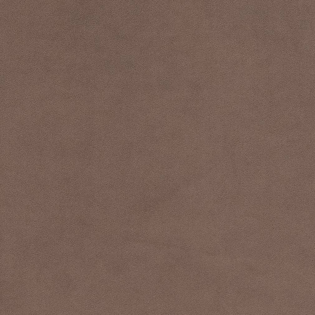 Dean Taupe