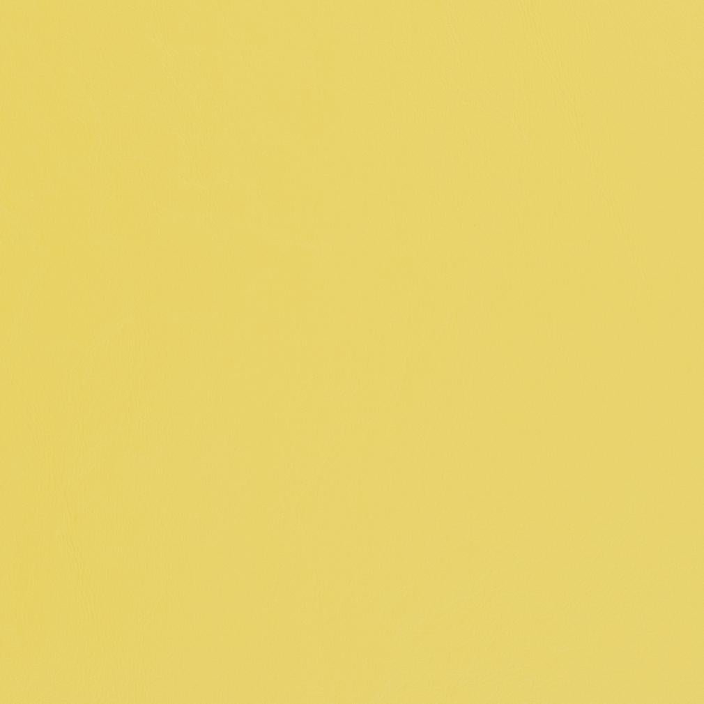 Delphine Lemon