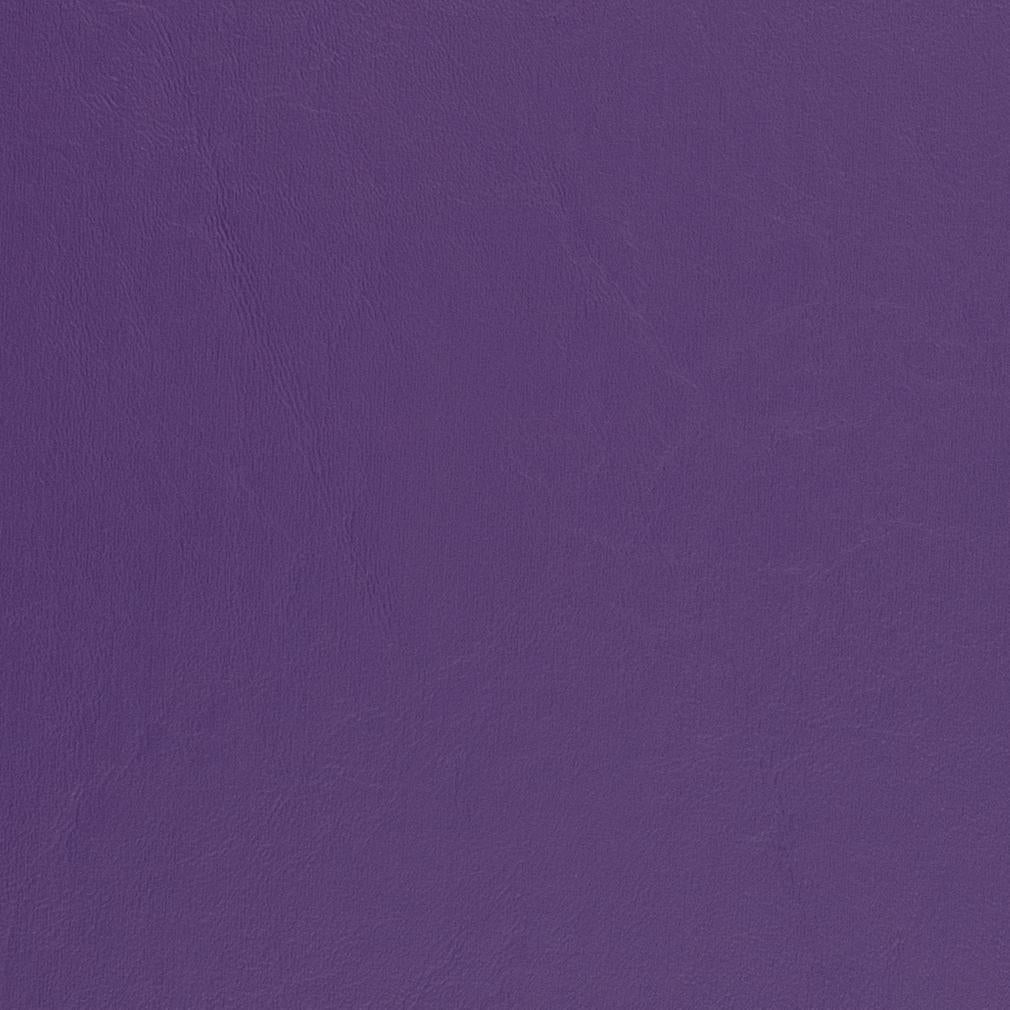 Delphine Purple