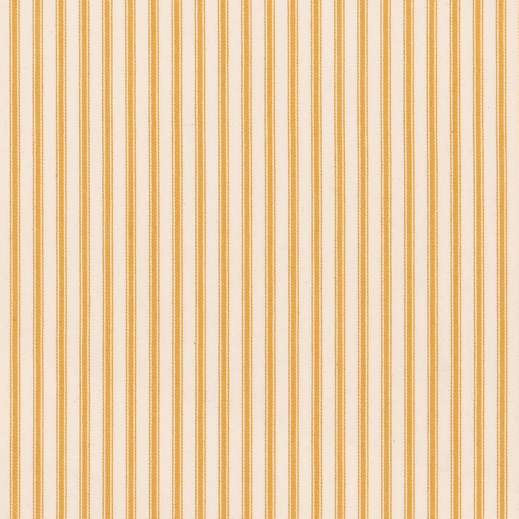Denali Mustard