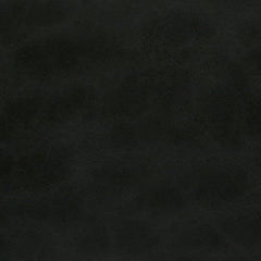 Dixon Black