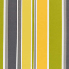 Dominica Limelight