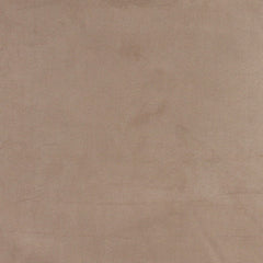 Dotson Buckskin