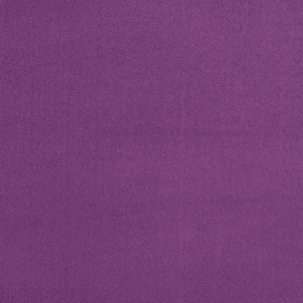 Dotson Purple