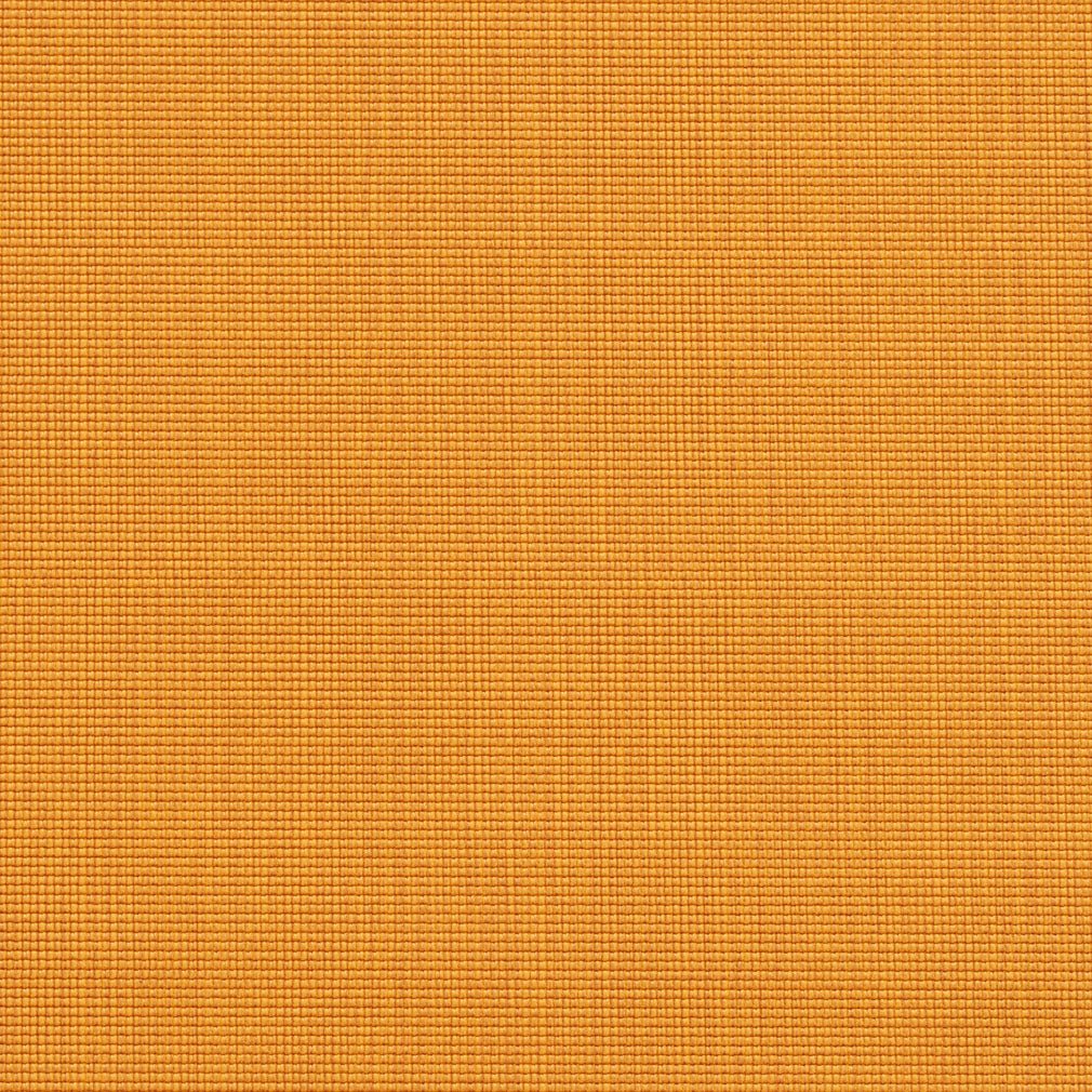 Doyle Apricot