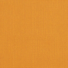 Doyle Apricot