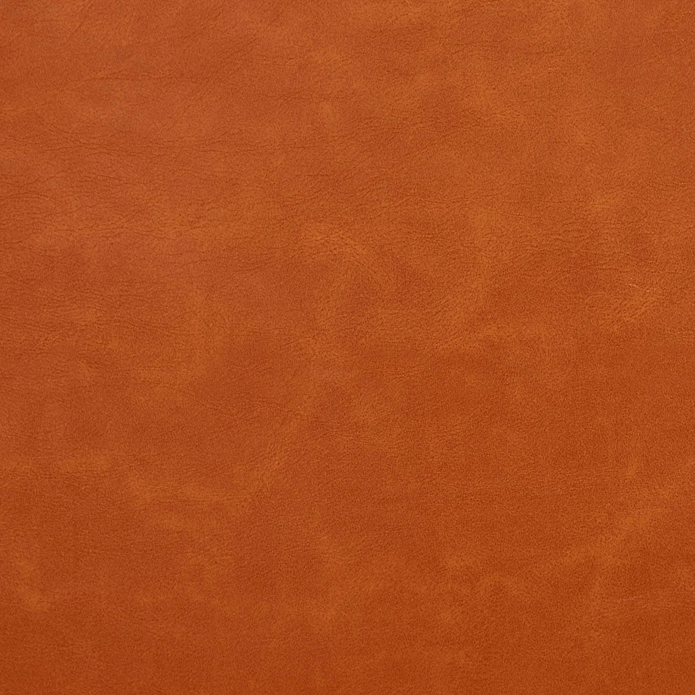Drew Apricot