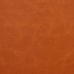 Drew Apricot
