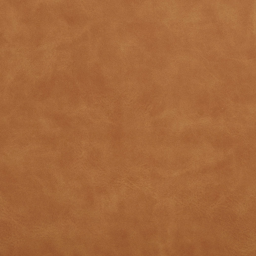 Drew Buckskin