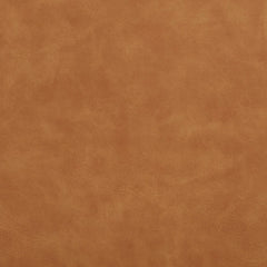 Drew Buckskin