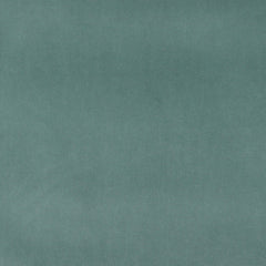 Darlene Aqua