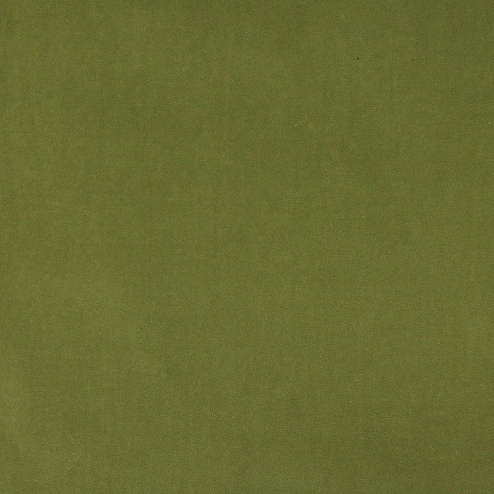 Darlene Avocado