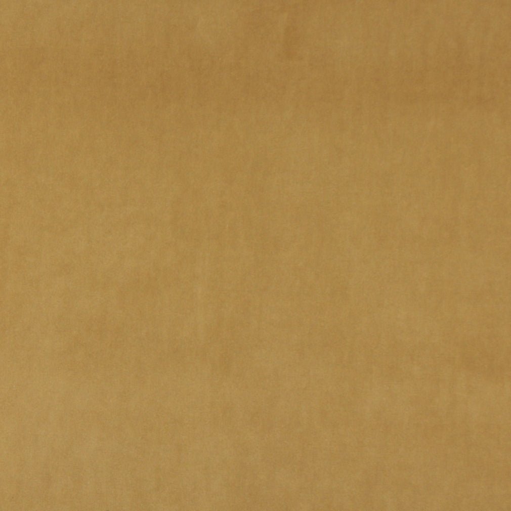 Darlene Camel