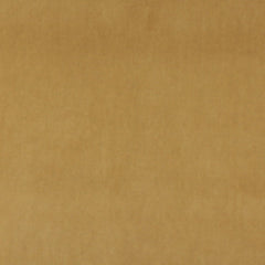 Darlene Camel