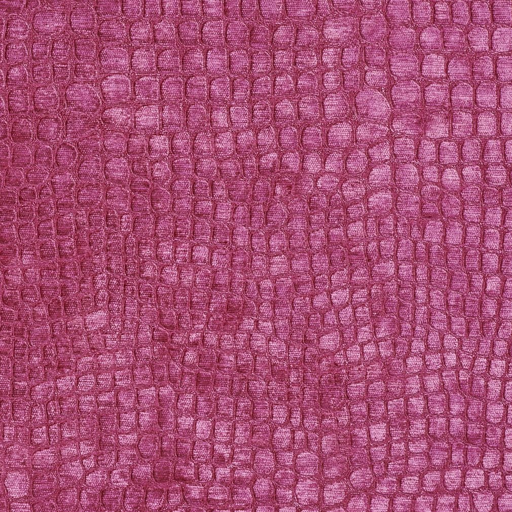 Electra Fuchsia