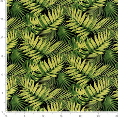 Elora Noir