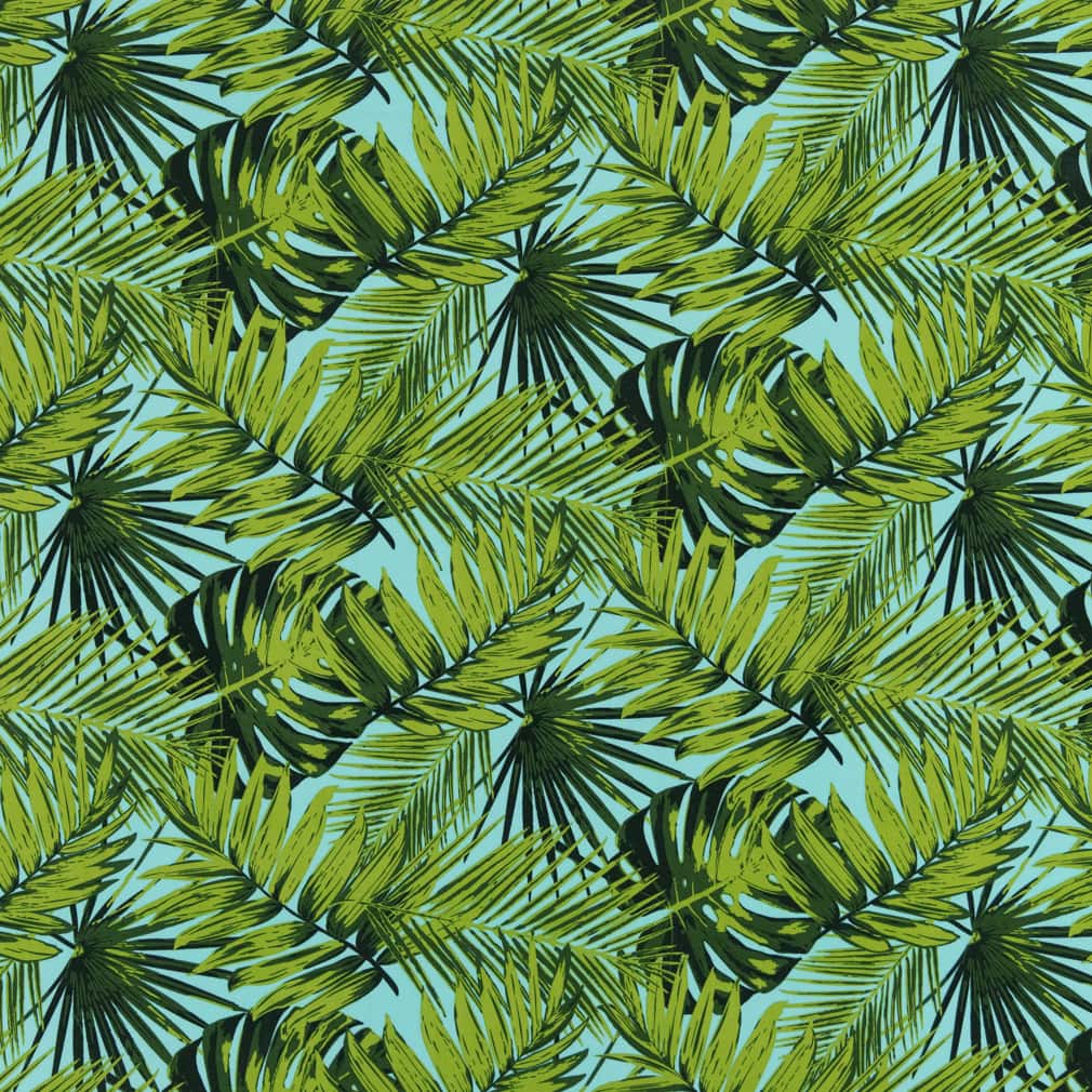 Elora Palm
