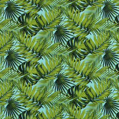 Elora Palm