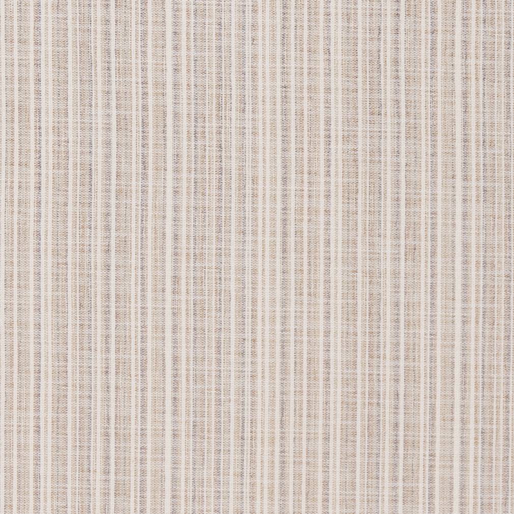 Equinox Birch
