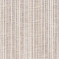 Equinox Birch