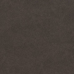 Estelle Charcoal
