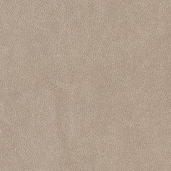 Estelle Sandstone