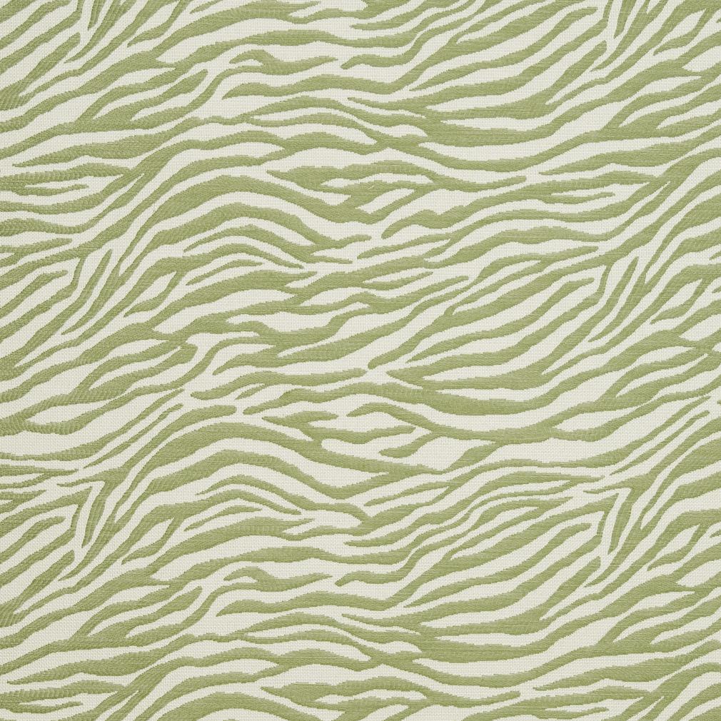 Fairfield Fern