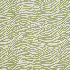 Fairfield Fern